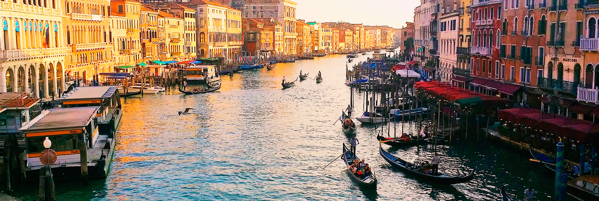 Panorámica a pie y paseo en Góndola por Venecia